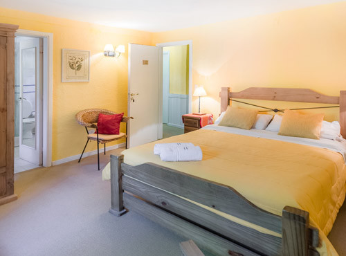 Habitación Vista al Bosque 1